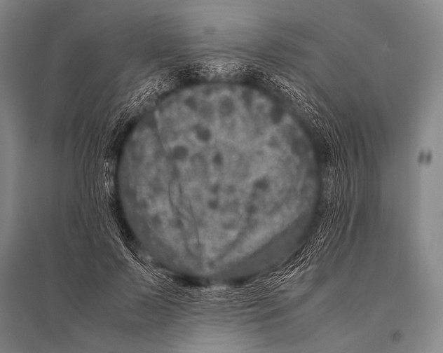 X0000094820695200712141645