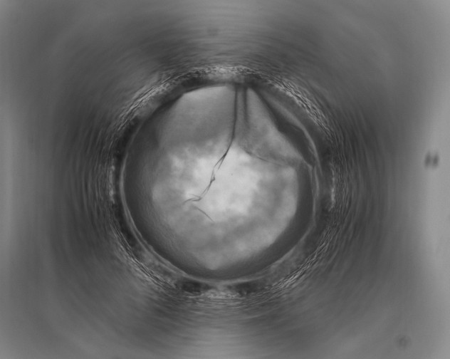 X0000094820696200712141645