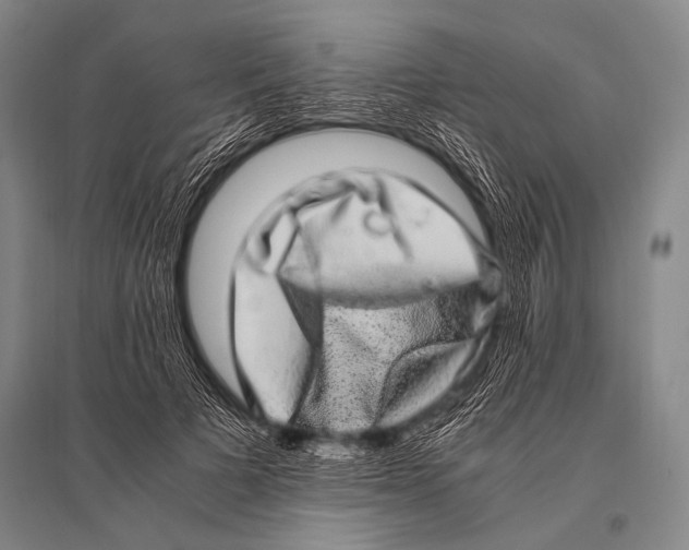 X0000094820697200712141645