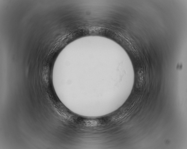 X0000094820698200712141645