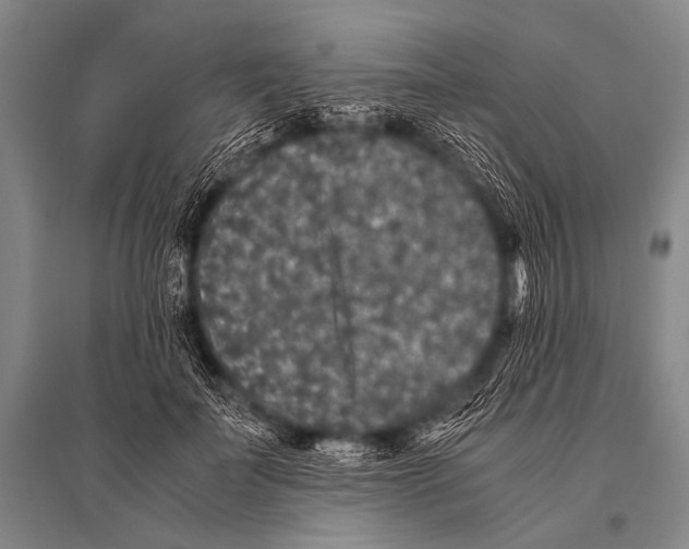 X0000094820699200712141645