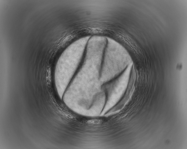 X0000094820700200712141645