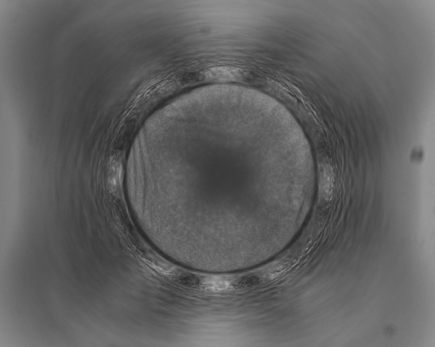 X0000094820701200712141645