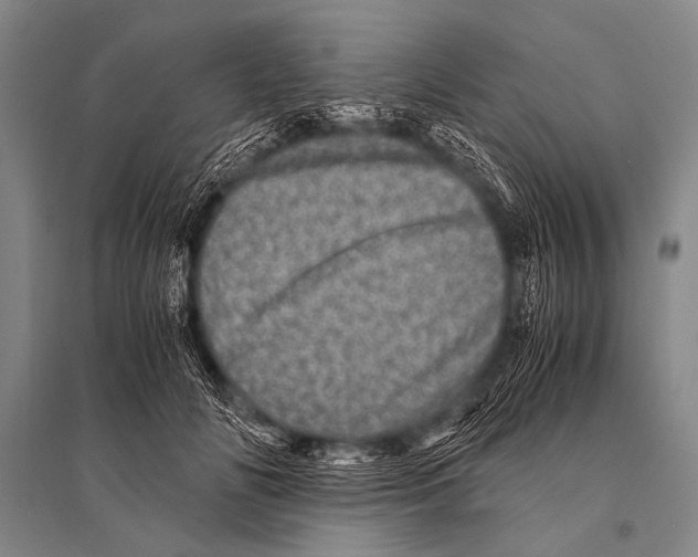 X0000094820702200712141645