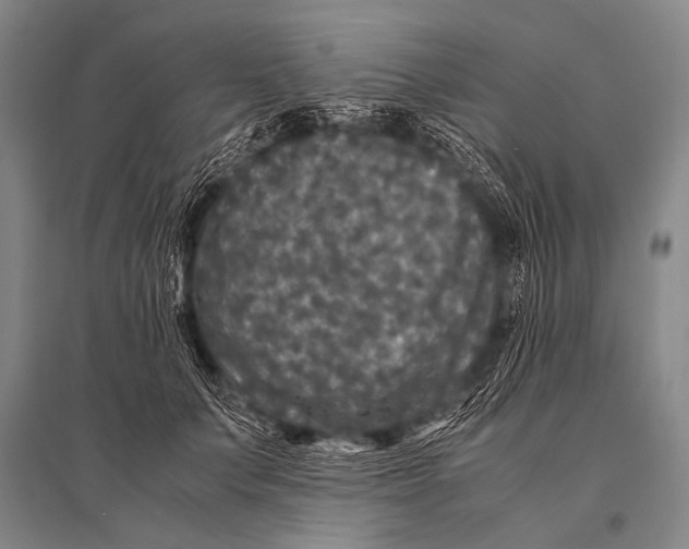 X0000094820703200712141645