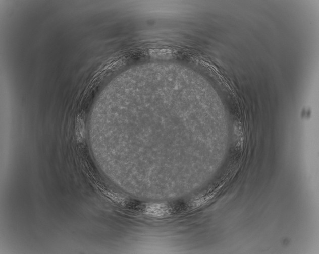 X0000094820705200712141645