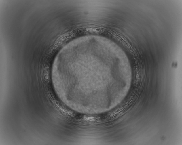 X0000094820706200712141645