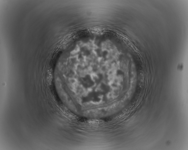 X0000094820707200712141645