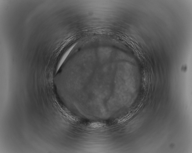 X0000094820708200712141645