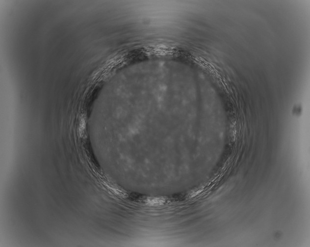 X0000094820709200712141645