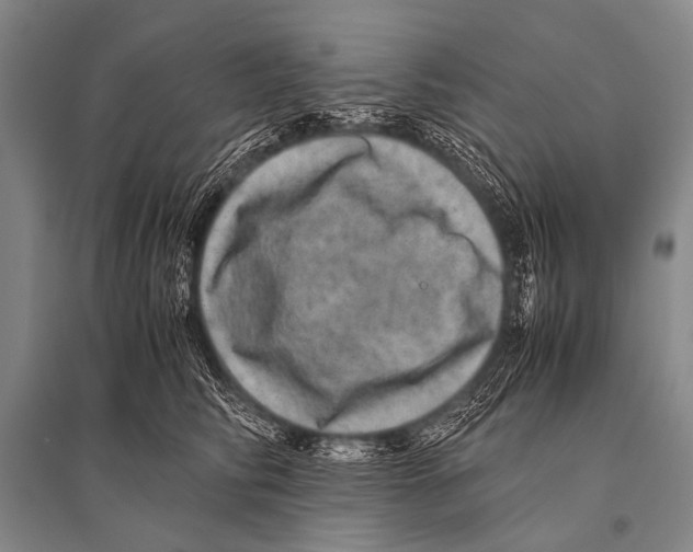 X0000094820710200712141645