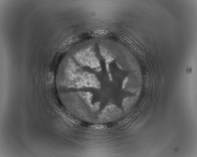 X0000094820711200712141645