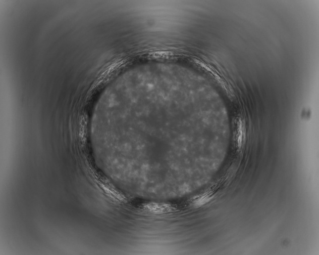 X0000094820712200712141645