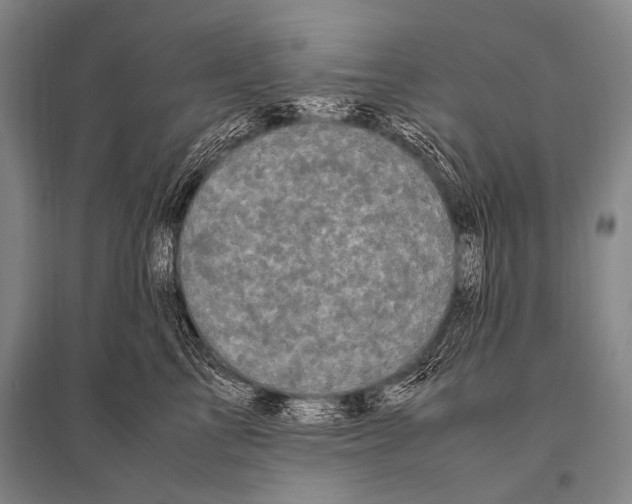 X0000094820713200712141645