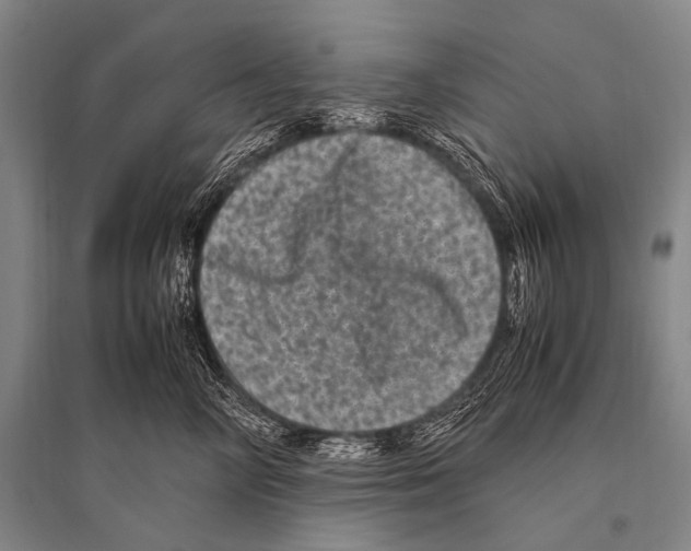 X0000094820714200712141645