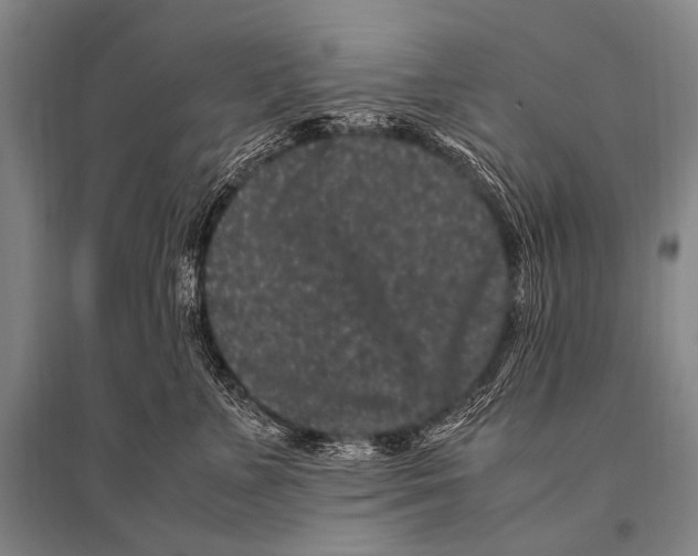 X0000094820715200712141645