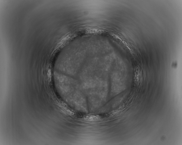 X0000094820716200712141645