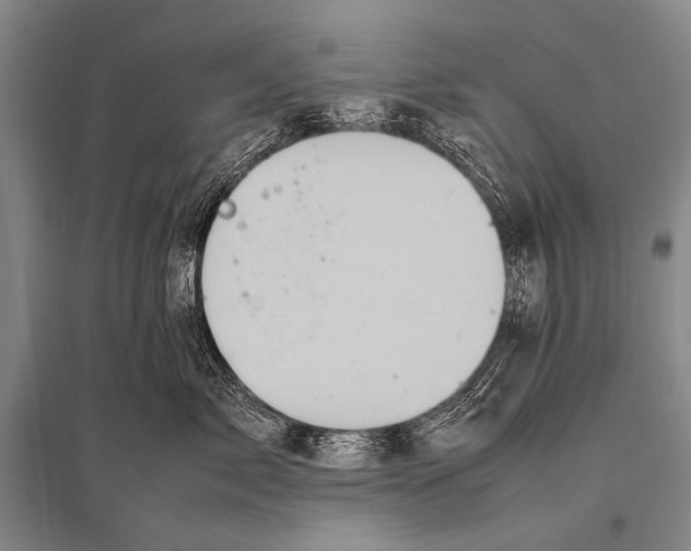 X0000094820717200712141645