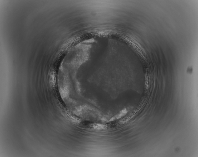 X0000094820718200712141644