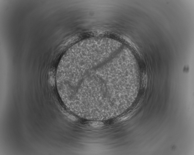 X0000094820719200712141644