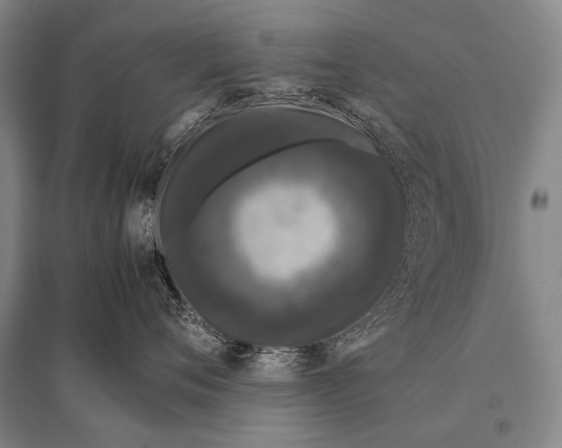 X0000094820720200712141644