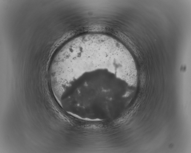 X0000094820721200712141644