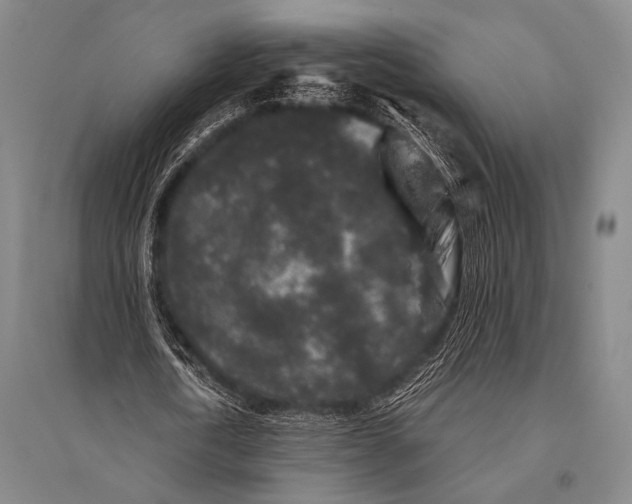 X0000094820722200712141644