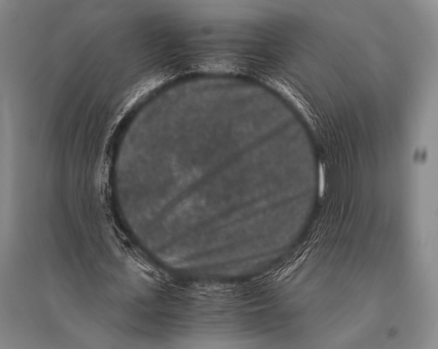 X0000094820723200712141644