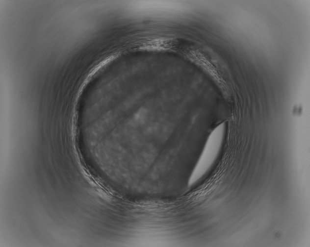 X0000094820724200712141644