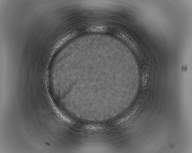 X0000094820725200712141644