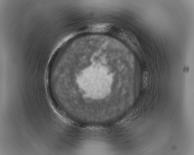 X0000094820726200712141644