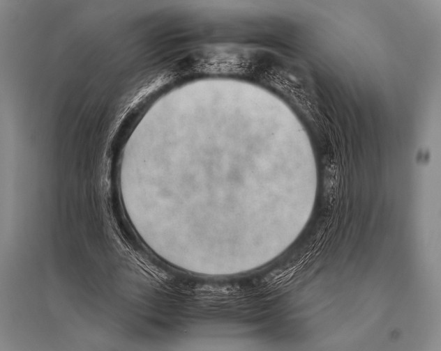 X0000094820727200712141644