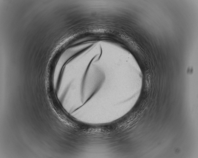 X0000094820728200712141644