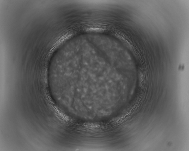 X0000094820729200712141644