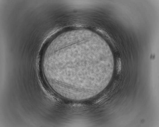 X0000094820730200712141644