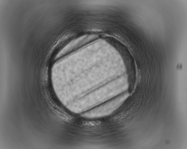 X0000094820731200712141644