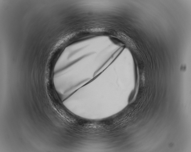 X0000094820732200712141644