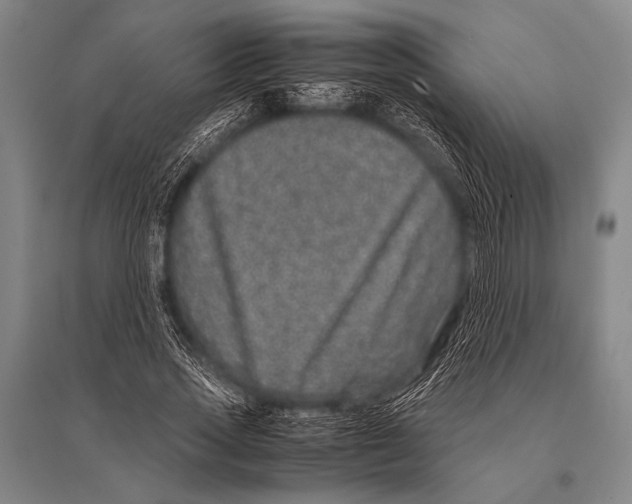 X0000094820733200712141644