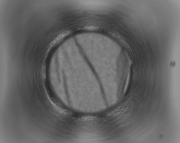 X0000094820734200712141644