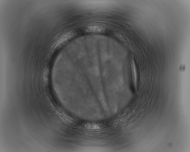 X0000094820735200712141644