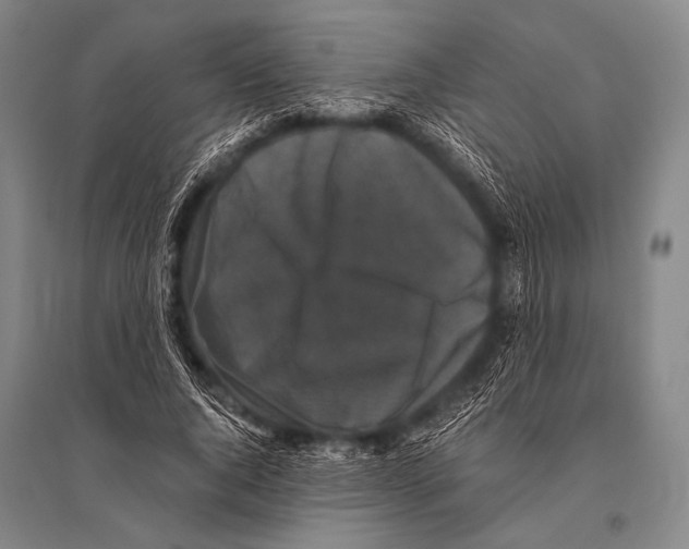 X0000094820736200712141644