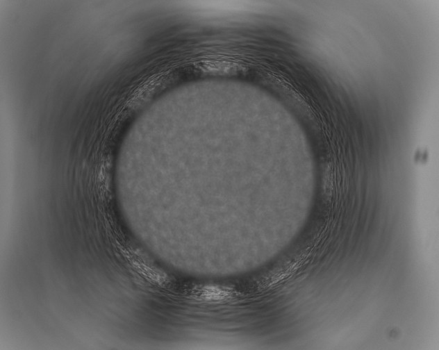 X0000094820737200712141644