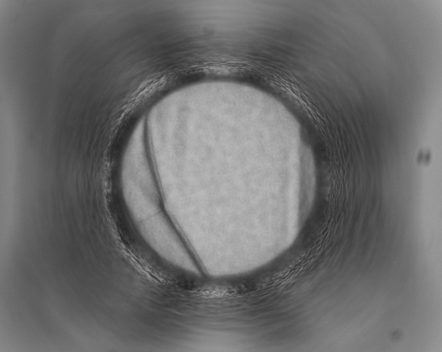 X0000094820738200712141644