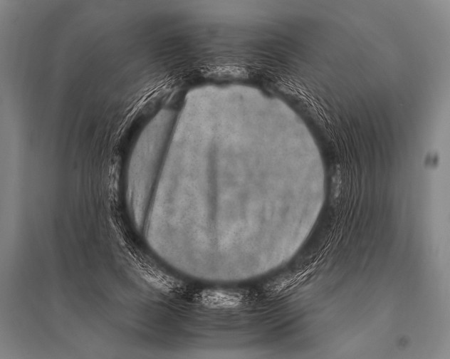 X0000094820739200712141644