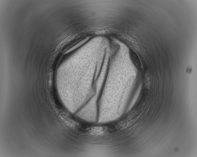 X0000094820740200712141644