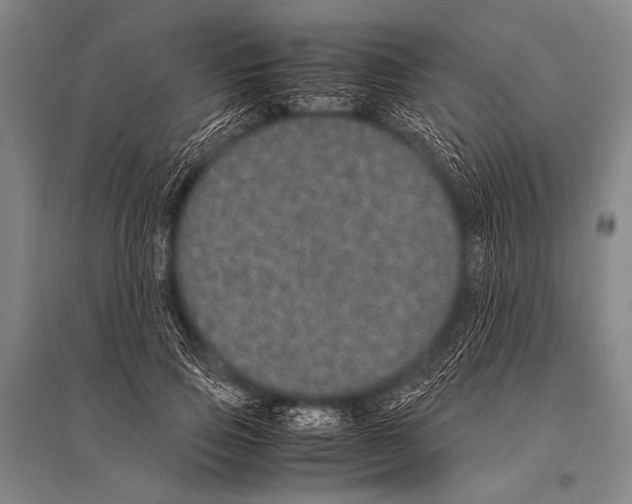 X0000094820741200712141644