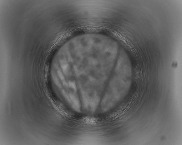 X0000094820742200712141644