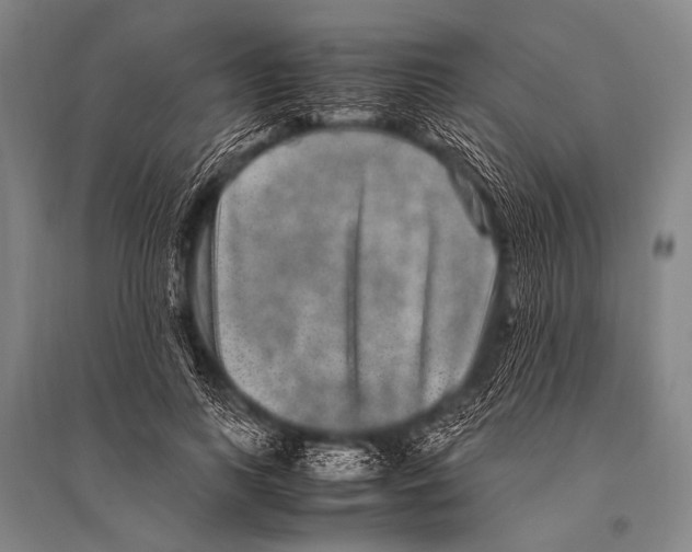 X0000094820743200712141644