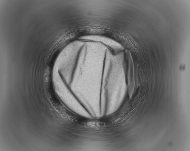 X0000094820744200712141644