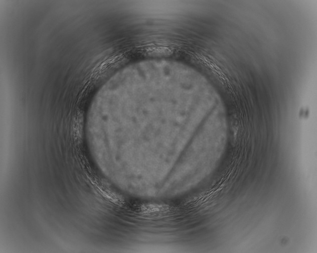 X0000094820745200712141644